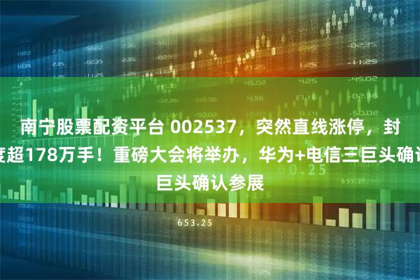 南宁股票配资平台 002537，突然直线涨停，封单一度超178万手！重磅大会将举办，华为+电信三巨头确认参展