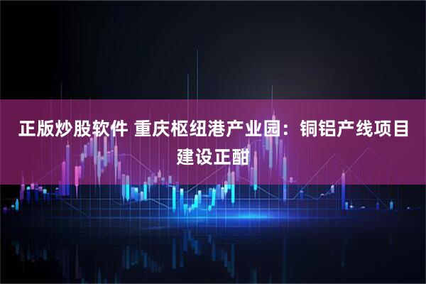 正版炒股软件 重庆枢纽港产业园：铜铝产线项目建设正酣