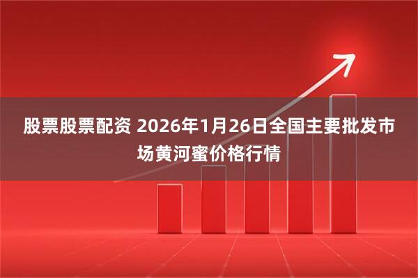 股票股票配资 2026年1月26日全国主要批发市场黄河蜜价格行情