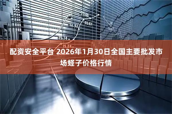 配资安全平台 2026年1月30日全国主要批发市场蛏子价格行情